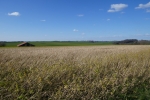 Wandertag Neanderland II – Vor den Toren Mettmanns