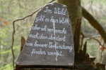 Von Beyenburg nach Radevormwald und zurück
