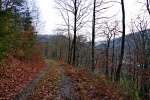 Luftige Höhen, murmelnde Bäche, Ennepetal