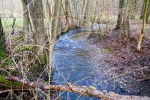 Luftige Höhen, murmelnde Bäche, Ennepetal