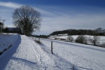 Drei-Dörfer-Weg Esborn