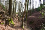 Wandertag – Marialinden Tour 3 – Aggertal und Naafbachtal