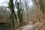 Bergische Wanderungen: Trampelpfade