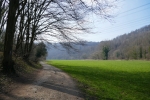 Bergische Wanderungen: Trampelpfade
