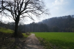 Bergische Wanderungen: Trampelpfade