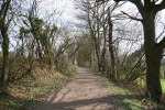 Wandertag Neanderland IV