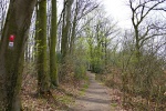 Kettwiger Panoramasteig - Etappe #1