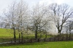 Kettwiger Panoramasteig - Etappe #1