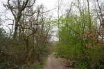 Kettwiger Panoramasteig - Etappe #2
