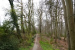 Kettwiger Panoramasteig - Etappe #2