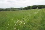 Wanderrunde durch die Elfringhauser Schweiz