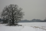 Rund um Bergisch-Neukirchen