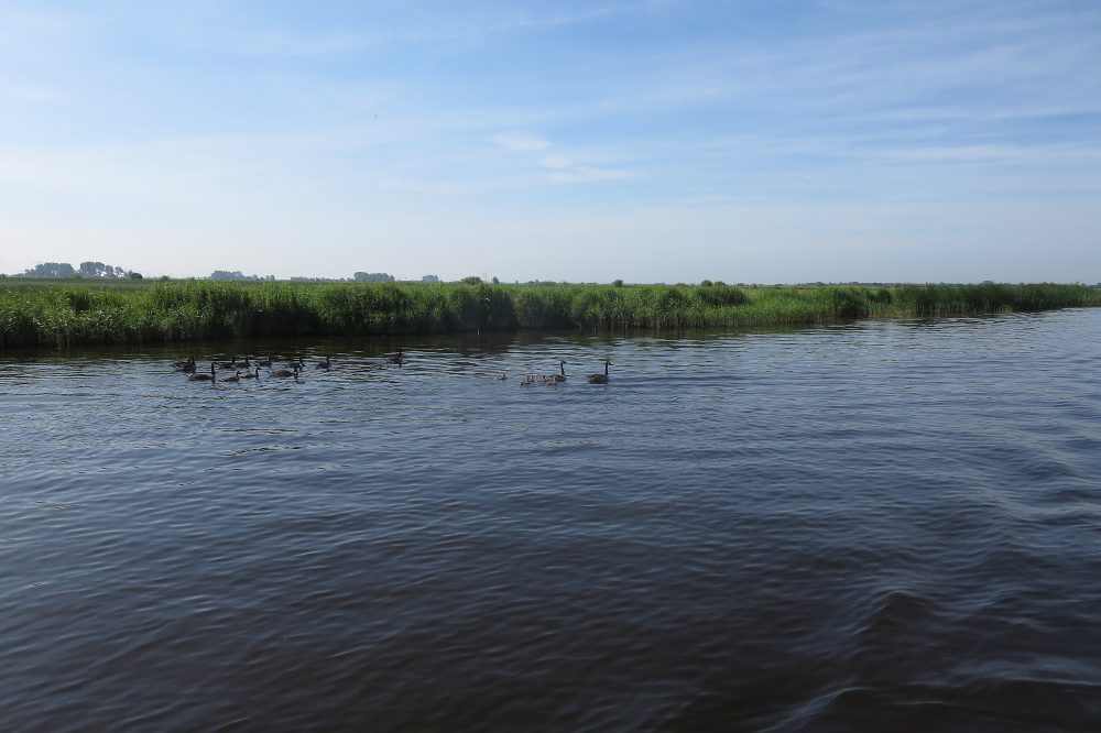 Mit dem Hausboot durch Friesland