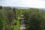 Blick vom Hermannsdenkmal