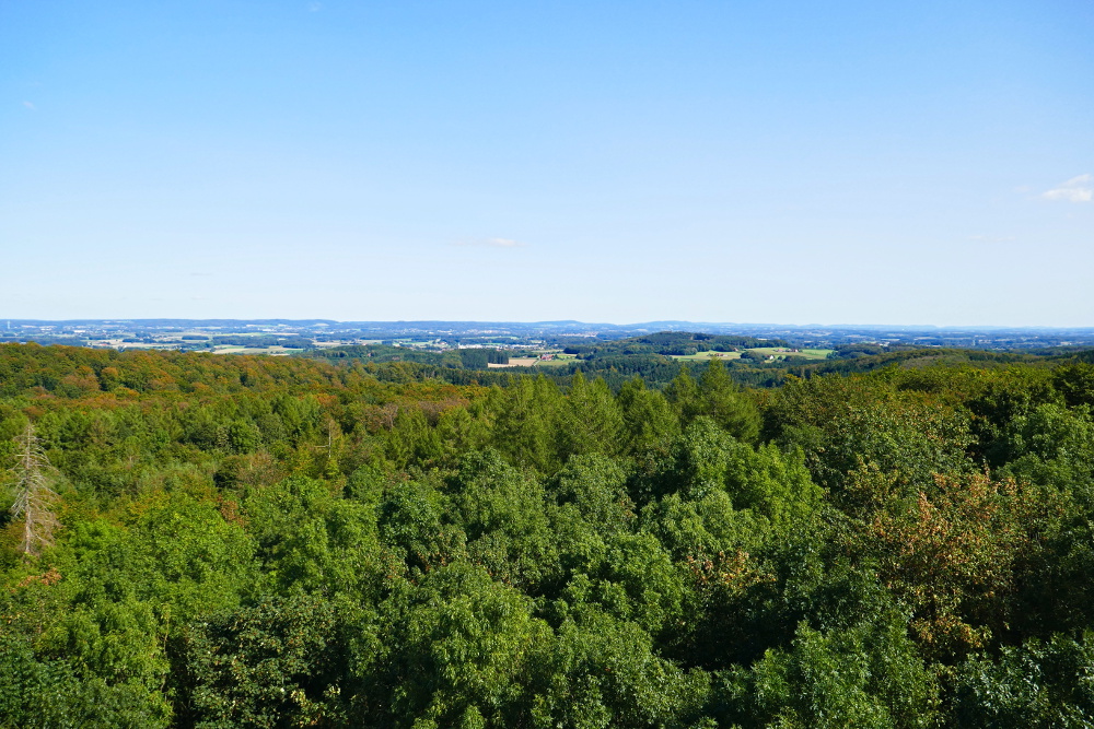 Hermannshöhen #05 – Von Hilter bis Borgholzhausen