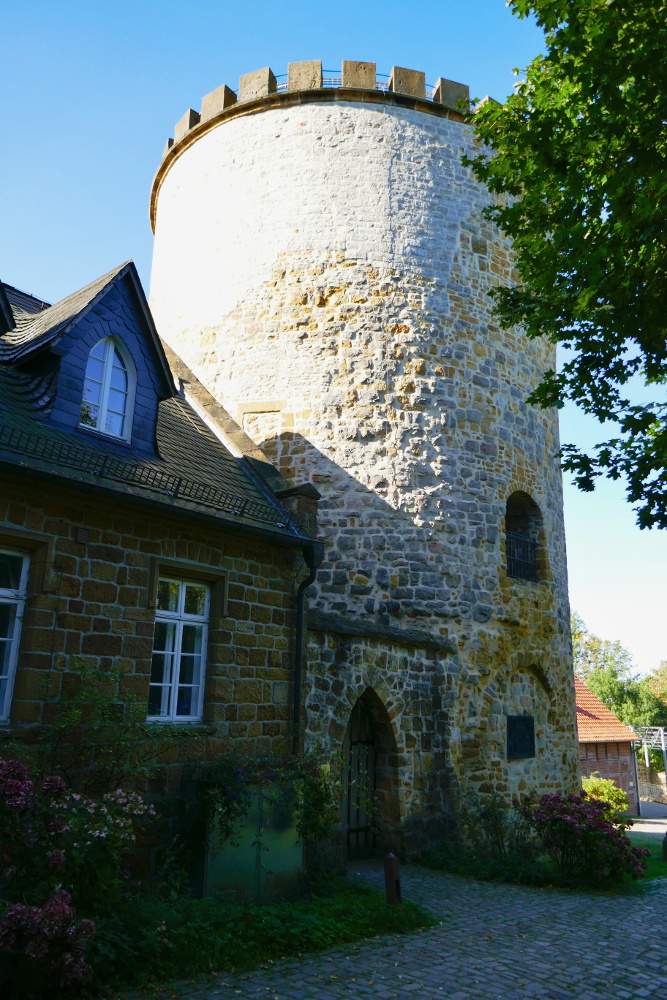 Hermannshöhen #06 – Von Borgholzhausen bis Halle Westfalen