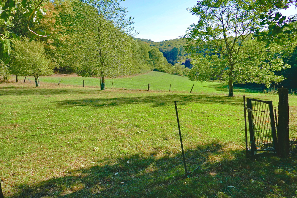 Hermannshöhen #06 – Von Borgholzhausen bis Halle Westfalen