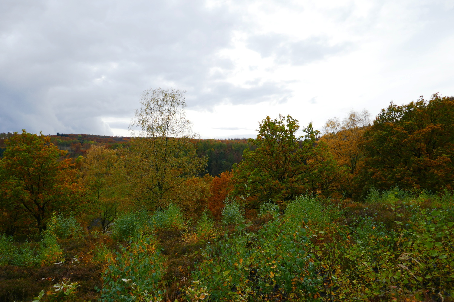Hermannshöhen #10 – Von Detmold bis Holzhause