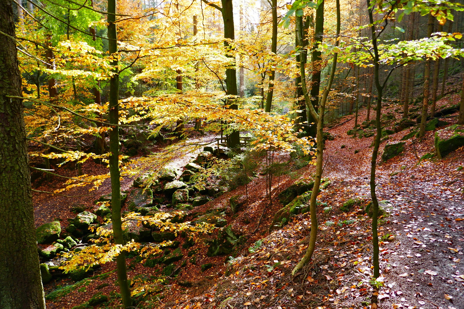 Hermannshöhen #11 – Von Holzhausen bis Leopoldstal