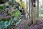 Hermannshöhen #10 – Von Detmold bis Holzhause