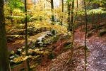 Hermannshöhen #11 – Von Holzhausen bis Leopoldstal
