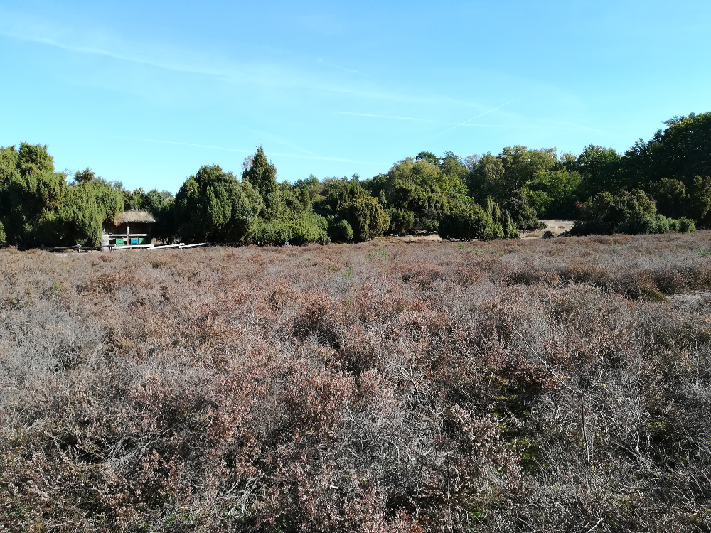 Hohe-Mark-Steig - Stadt Land Fluss - Westruper Heide