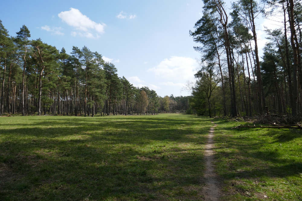 Hohe-Mark-Steig #08 – Wilder Westen