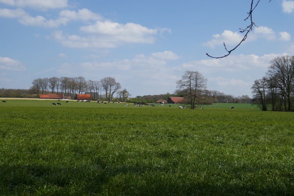 Hohe-Mark-Steig #08 – Wilder Westen