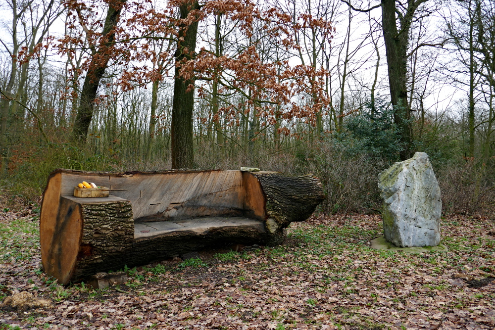 Hohe-Mark-Steig – Neue Wildnis