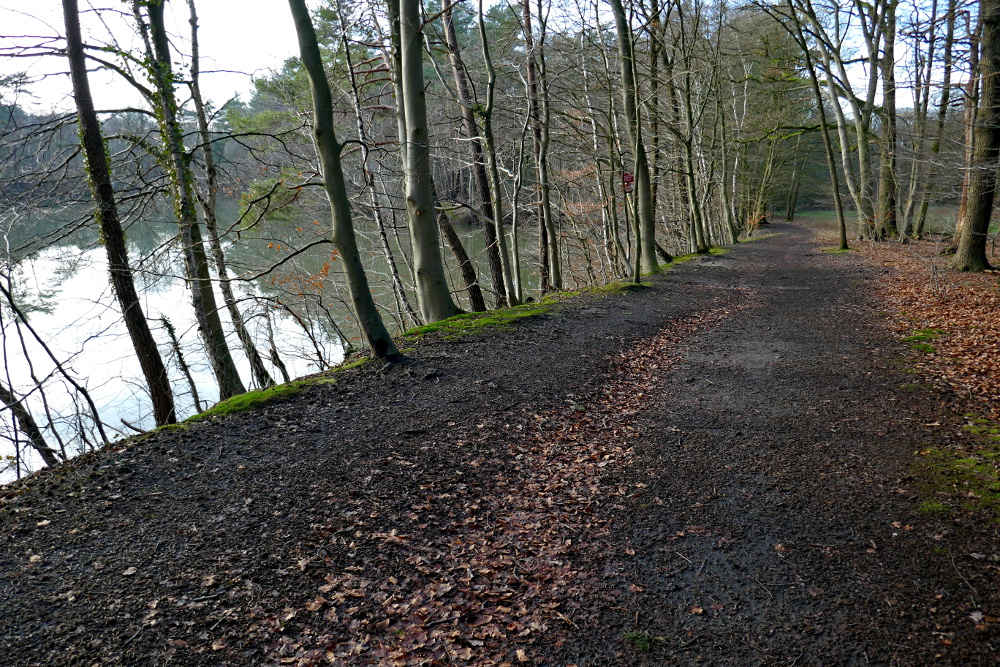 Hohe-Mark-Steig – Neue Wildnis