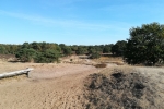 Hohe-Mark-Steig - Stadt Land Fluss - Westruper Heide