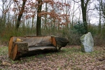 Hohe-Mark-Steig – Neue Wildnis