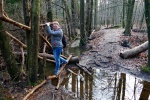 Hohe-Mark-Steig – Neue Wildnis
