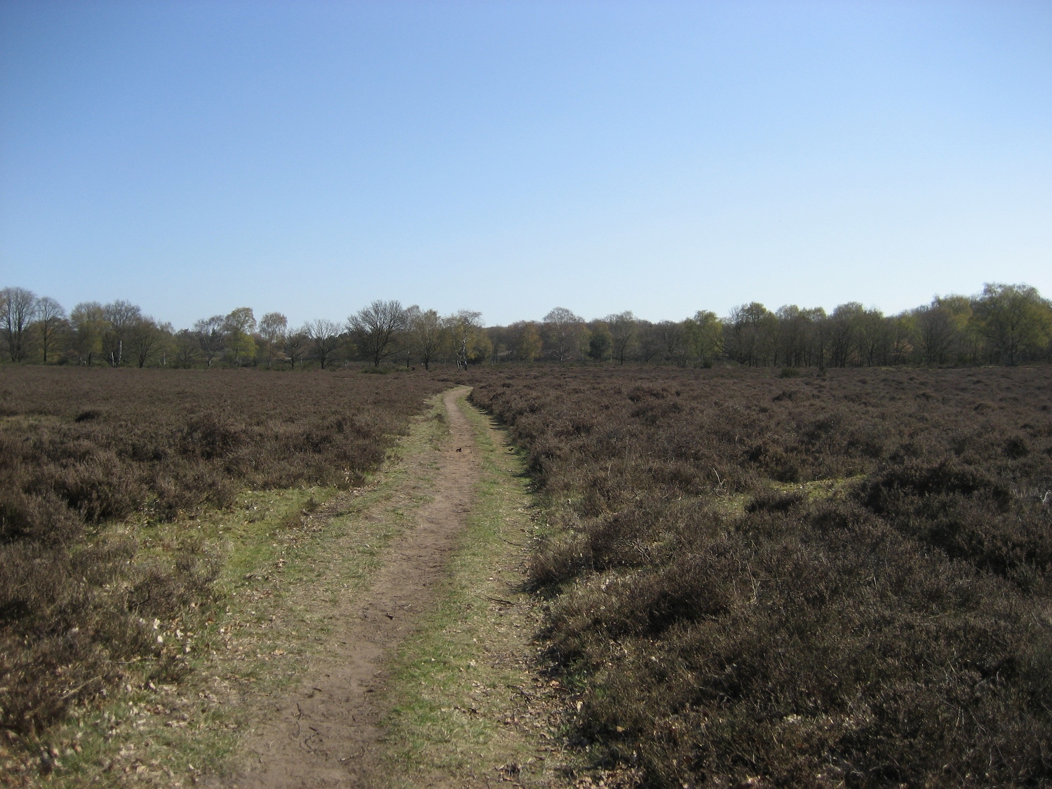 GME: Starting cache Hilversum