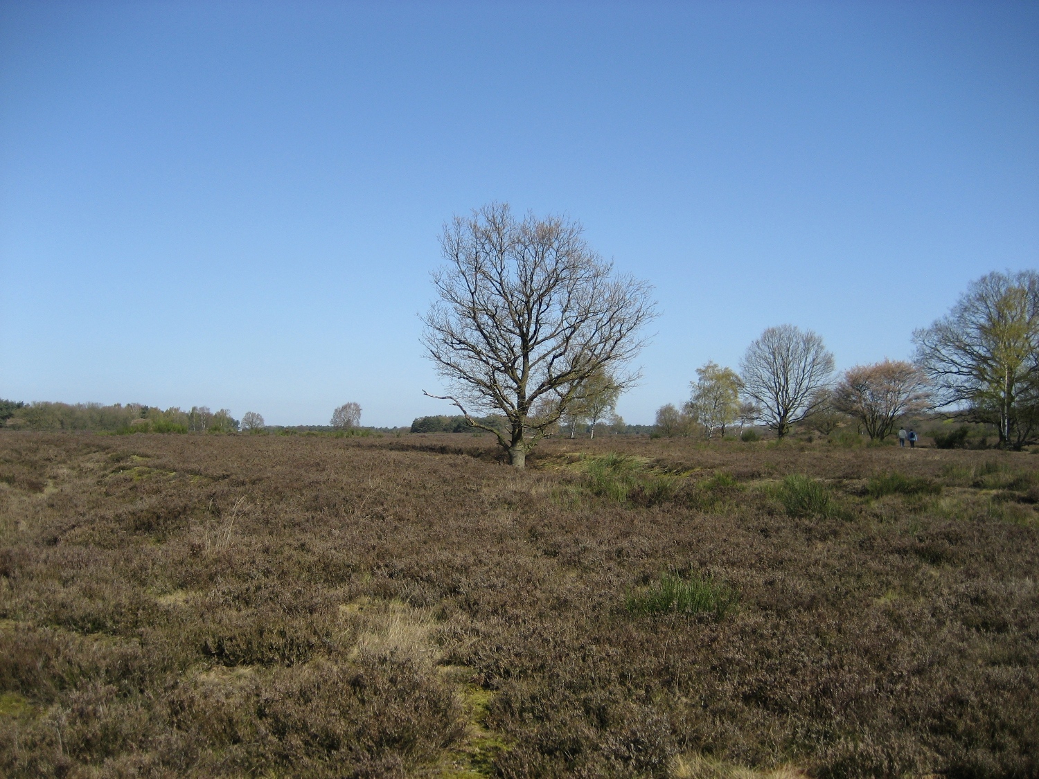 GME: Starting cache Hilversum
