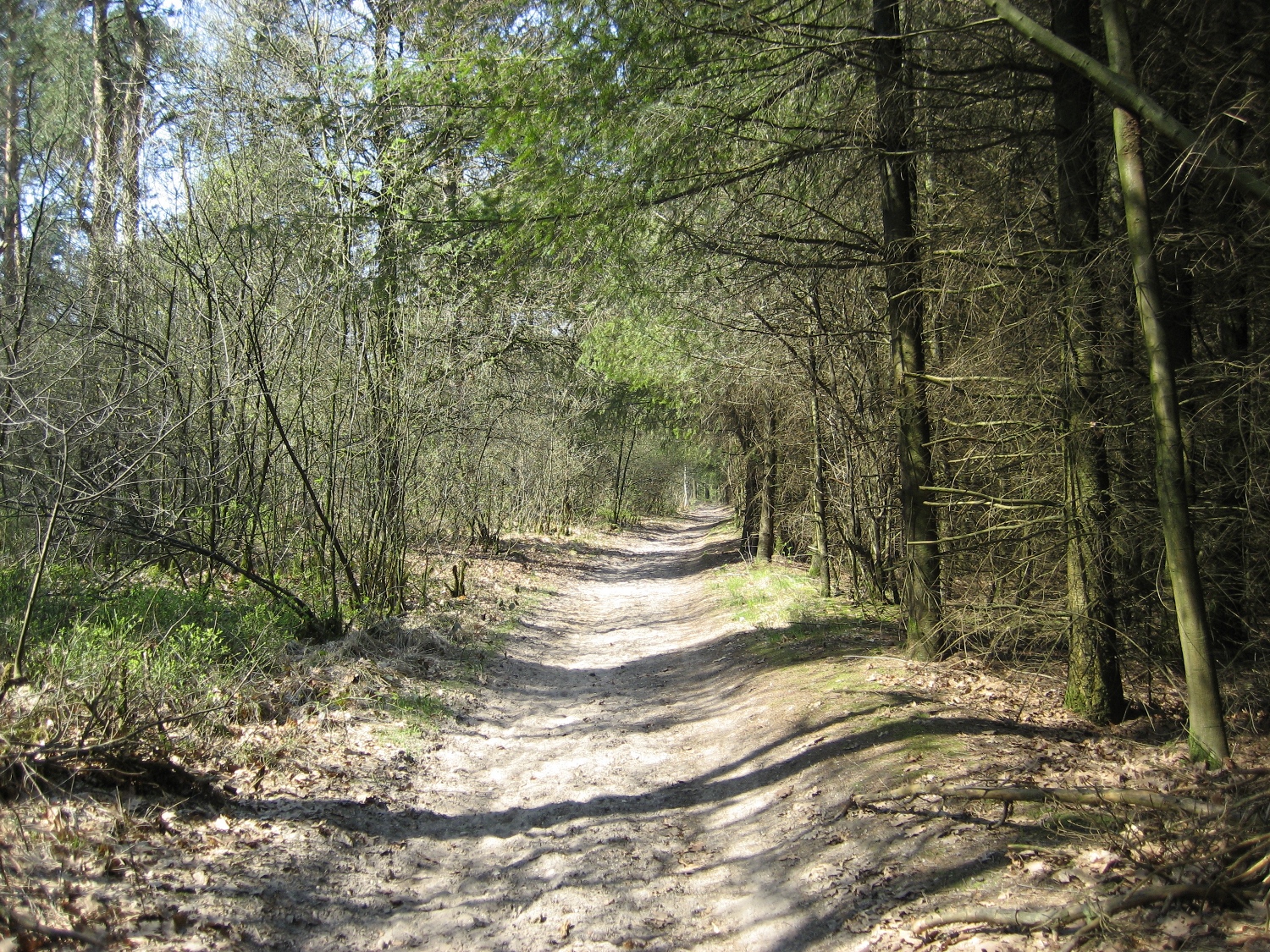 Stevig Stappen 1+2