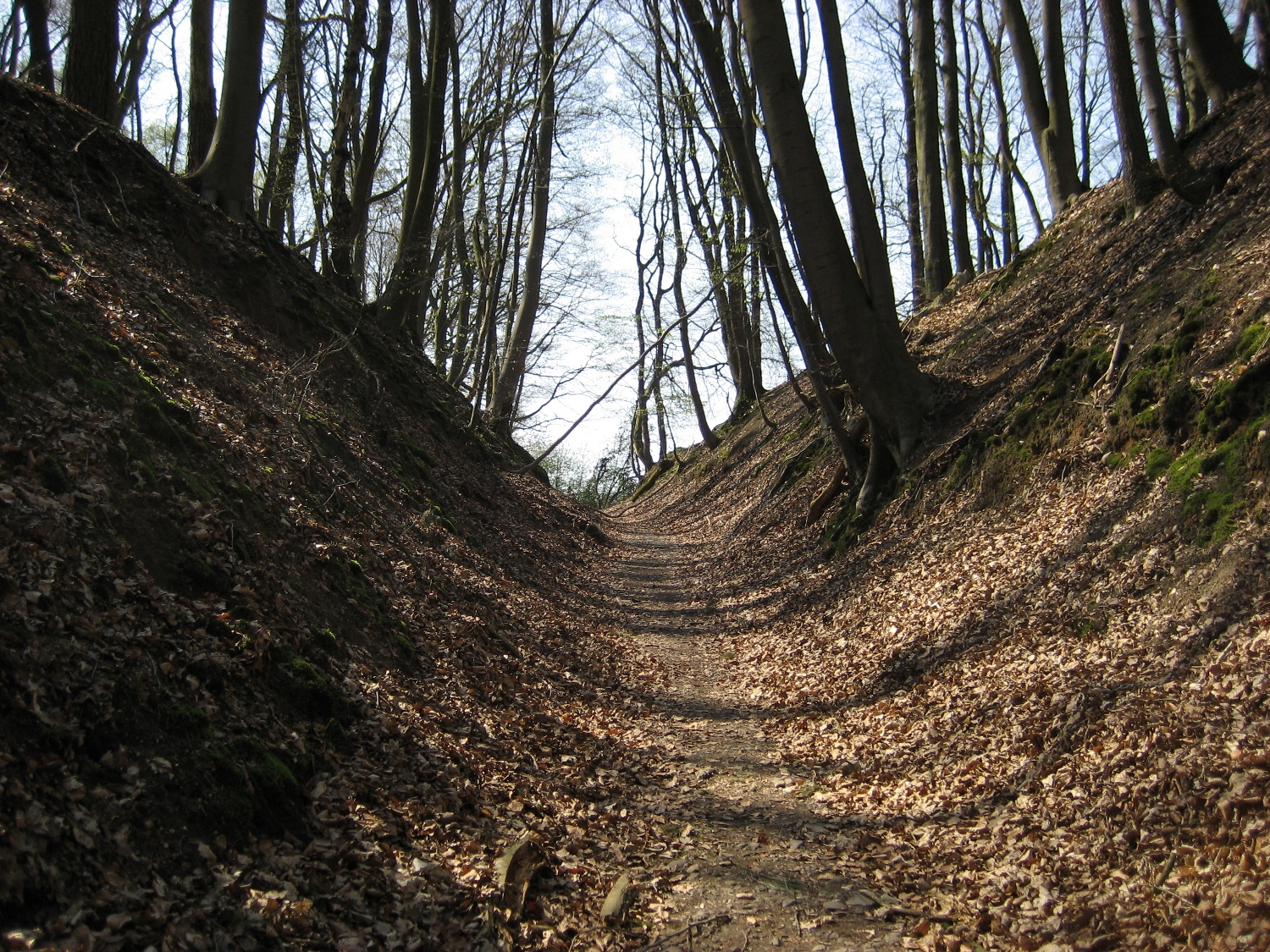 Stevig Stappen 1+2
