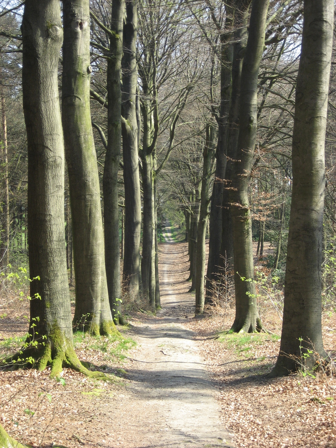 Stevig Stappen 1+2
