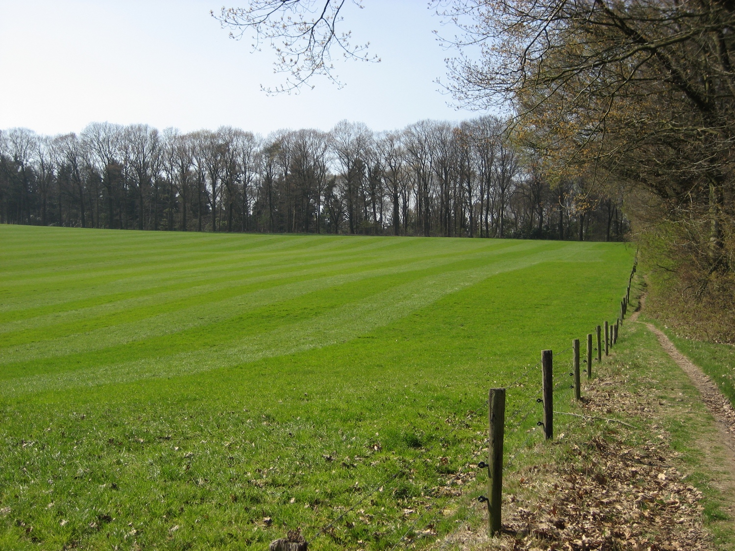 Stevig Stappen 1+2