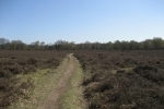 GME: Starting cache Hilversum