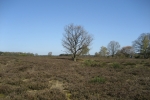 GME: Starting cache Hilversum