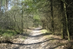 Stevig Stappen 1+2