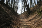Stevig Stappen 1+2