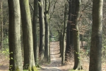 Stevig Stappen 1+2