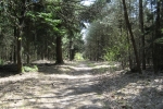 Stevig Stappen 3