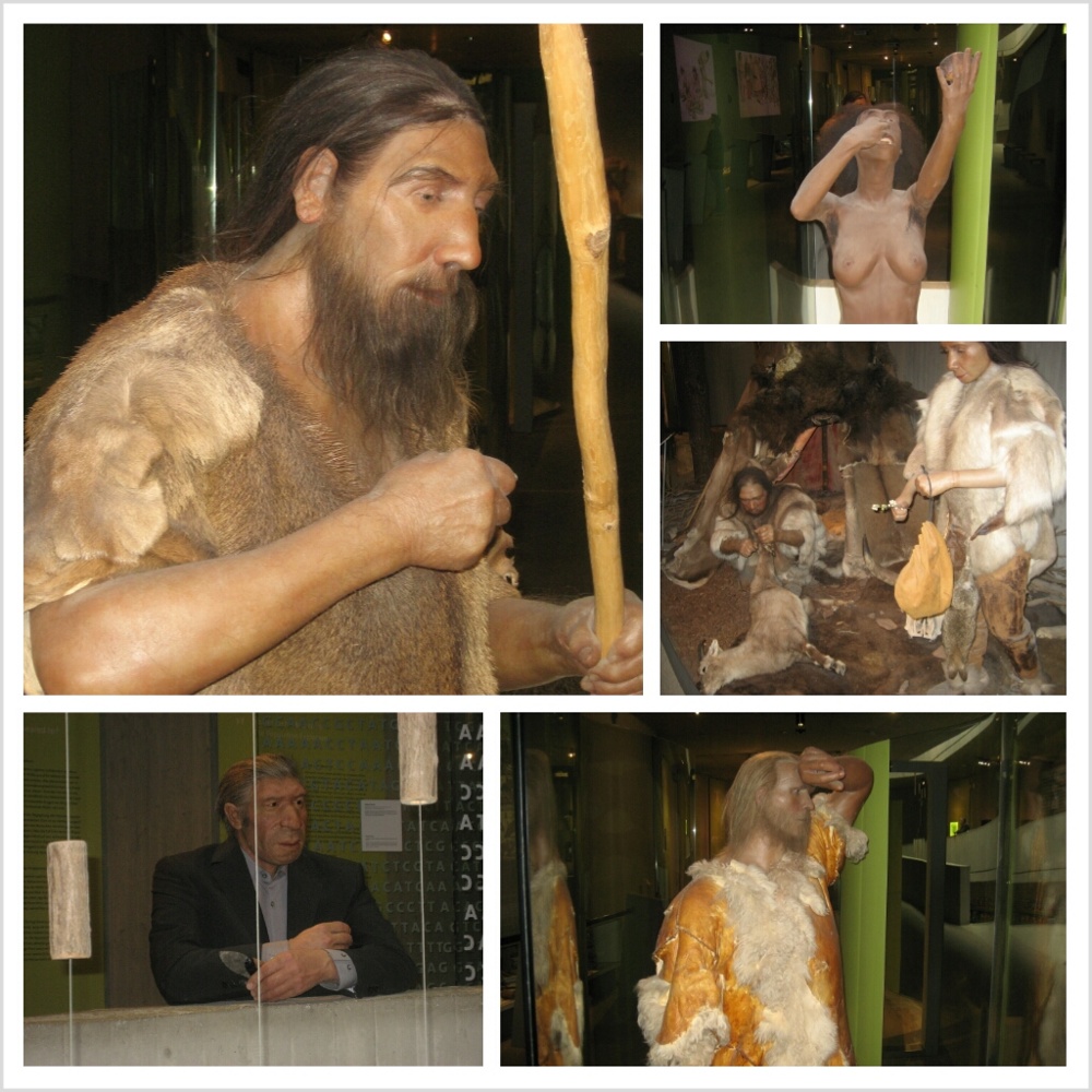 Neanderthal Museum Mettmann