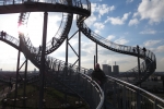 Tiger & Turtle
