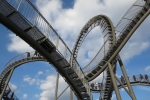 Tiger & Turtle