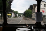 Teckel - unterwegs an der B7 in Gevelsberg