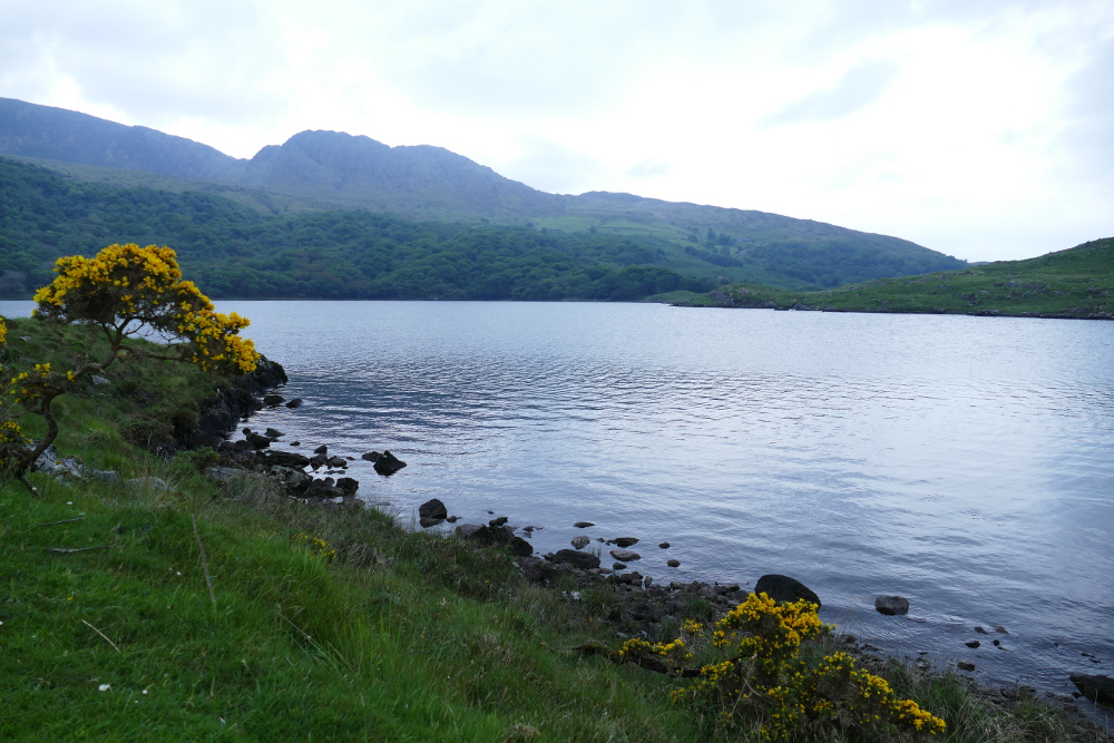 Irland – Beara Way – Von Lauragh nach Kenmare